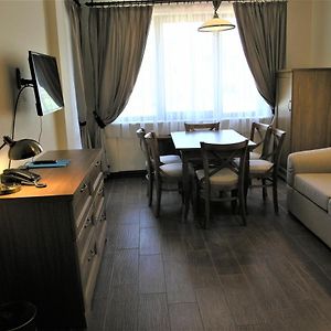 Deluxe One-Bedroom Apartment